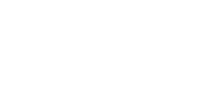 Studyzi Logo White